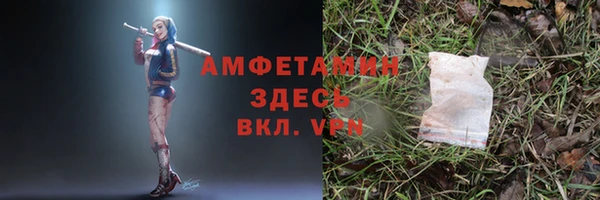 шишки Баксан