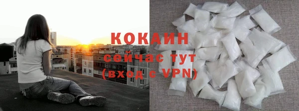 шишки Баксан