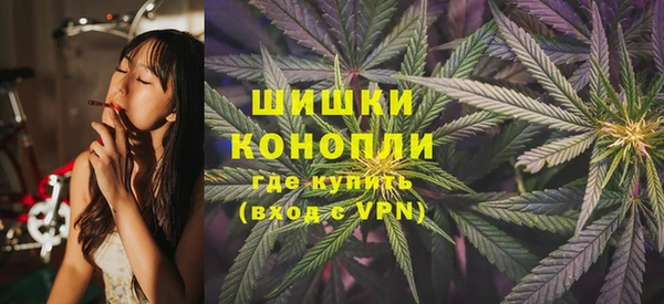 шишки Баксан