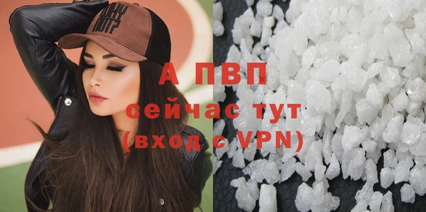 соль ск Строитель
